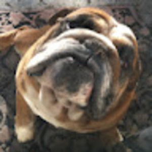 Meet your Posher, Candace